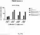 Fig. 55 - Gene-edited natural killer cells