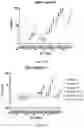 Fig. 65 - Gene-edited natural killer cells