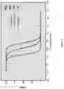 Fig. 05 - Enveloped Virus Resistant to Complement Inactivation for the Treatment of Cancer