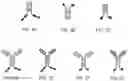 Fig. 04 - TGF-B-RECEPTOR ECTODOMAIN FUSION MOLECULES AND USES THEREOF