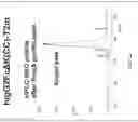 Fig. 12 - TGF-B-RECEPTOR ECTODOMAIN FUSION MOLECULES AND USES THEREOF