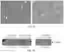 Fig. 22 - TGF-B-RECEPTOR ECTODOMAIN FUSION MOLECULES AND USES THEREOF