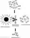 Fig. 01 - ANTIBODY FOR ENRICHMENT OF CELLS