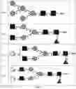 Fig. 02 - ANTIBODY FOR ENRICHMENT OF CELLS