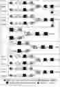 Fig. 03 - ANTIBODY FOR ENRICHMENT OF CELLS