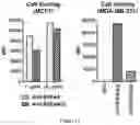 Fig. 18 - ANTIBODY FOR ENRICHMENT OF CELLS