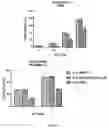 Fig. 22 - ANTIBODY FOR ENRICHMENT OF CELLS