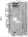 Fig. 03 - Compositions, Devices, Kits and Methods for Detecting Hookworm