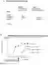Fig. 29 - METHOD FOR REDUCING THE IMMUNE RESPONSE TO A BIOLOGICALLY ACTIVE PROTEIN
