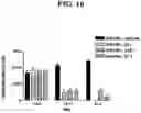Fig. 21 - METHODS FOR TREATING OSTEOARTHRITIS PAIN BY ADMINISTERING A NERVE GROWTH FACTOR ANTAGONIST AND COMPOSITIONS CONTAINING THE SAME