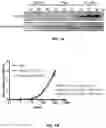 Fig. 02 - COMPOSITIONS AND METHODS FOR TREATMENT OF DISEASES INVOLVING CXCL1 FUNCTION