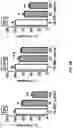 Fig. 12 - COMPOSITIONS AND METHODS FOR TREATMENT OF DISEASES INVOLVING CXCL1 FUNCTION