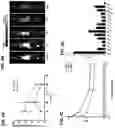 Fig. 14 - COMPOSITIONS AND METHODS FOR TREATMENT OF DISEASES INVOLVING CXCL1 FUNCTION