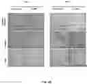 Fig. 16 - COMPOSITIONS AND METHODS FOR TREATMENT OF DISEASES INVOLVING CXCL1 FUNCTION