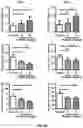 Fig. 17 - COMPOSITIONS AND METHODS FOR TREATMENT OF DISEASES INVOLVING CXCL1 FUNCTION
