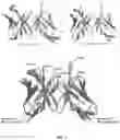 Fig. 18 - COMPOSITIONS AND METHODS FOR TREATMENT OF DISEASES INVOLVING CXCL1 FUNCTION