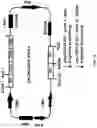 Fig. 24 - COMPOSITIONS AND METHODS FOR TREATMENT OF DISEASES INVOLVING CXCL1 FUNCTION