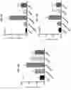 Fig. 18 - METHODS FOR MODULATING INFLAMMASOME ACTIVITY AND INFLAMMATION IN THE LUNG