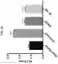 Fig. 20 - METHODS FOR MODULATING INFLAMMASOME ACTIVITY AND INFLAMMATION IN THE LUNG
