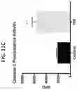 Fig. 24 - METHODS FOR MODULATING INFLAMMASOME ACTIVITY AND INFLAMMATION IN THE LUNG