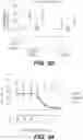 Fig. 05 - IL-7 binding proteins and their use in medical therapy
