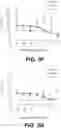 Fig. 08 - IL-7 binding proteins and their use in medical therapy
