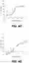 Fig. 10 - IL-7 binding proteins and their use in medical therapy