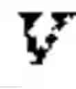 Fig. 02 - IL-6 ANTIBODIES