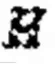 Fig. 06 - IL-6 ANTIBODIES