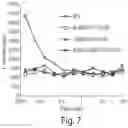 Fig. 07 - IL-6 ANTIBODIES