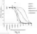 Fig. 08 - IL-6 ANTIBODIES