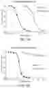Fig. 17 - IL-6 ANTIBODIES