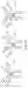Fig. 19 - IL-6 ANTIBODIES