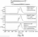 Fig. 21 - IL-6 ANTIBODIES