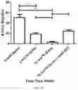 Fig. 09 - Methods of treating an inflammatory disorder by administering an antibody which binds to a connexin CX43 hemichannel
