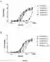 Fig. 02 - Anti-lag-3 antibody polypeptide