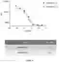 Fig. 08 - Anti-lag-3 antibody polypeptide