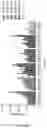 Fig. 19 - Anti-lag-3 antibody polypeptide
