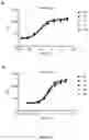 Fig. 24 - Anti-lag-3 antibody polypeptide