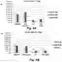 Fig. 05 - Tagged chimeric effector molecules and receptors thereof