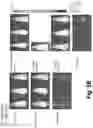 Fig. 11 - Tagged chimeric effector molecules and receptors thereof