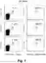 Fig. 15 - Tagged chimeric effector molecules and receptors thereof