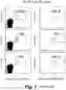 Fig. 18 - Tagged chimeric effector molecules and receptors thereof