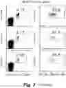 Fig. 19 - Tagged chimeric effector molecules and receptors thereof