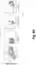 Fig. 24 - Tagged chimeric effector molecules and receptors thereof