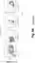 Fig. 25 - Tagged chimeric effector molecules and receptors thereof