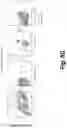 Fig. 32 - Tagged chimeric effector molecules and receptors thereof