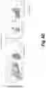 Fig. 36 - Tagged chimeric effector molecules and receptors thereof