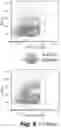 Fig. 42 - Tagged chimeric effector molecules and receptors thereof