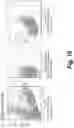 Fig. 44 - Tagged chimeric effector molecules and receptors thereof